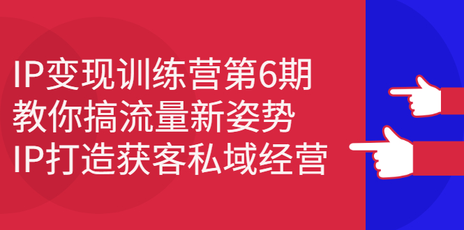 IP变现训练营第6期：教你搞流量新姿势，IP打造获客私域经营搞钱网创吧-网创项目资源站-副业项目-创业项目-搞钱项目搞钱网创吧