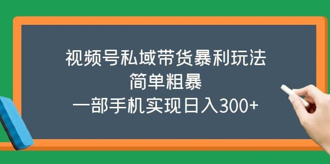 视频号私域带货暴利玩法，简单粗暴搞钱网创吧-网创项目资源站-副业项目-创业项目-搞钱项目搞钱网创吧