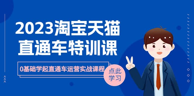 2023淘宝·天猫直通车评特训课，0基础学起直通车运营实战课程（8节课时）搞钱网创吧-网创项目资源站-副业项目-创业项目-搞钱项目搞钱网创吧