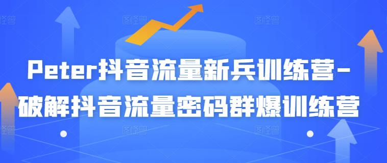 Peter抖音流量新兵训练营-破解抖音流量密码群爆训练营（新兵）网创吧-网创项目资源站-副业项目-创业项目-搞钱项目搞钱网创吧