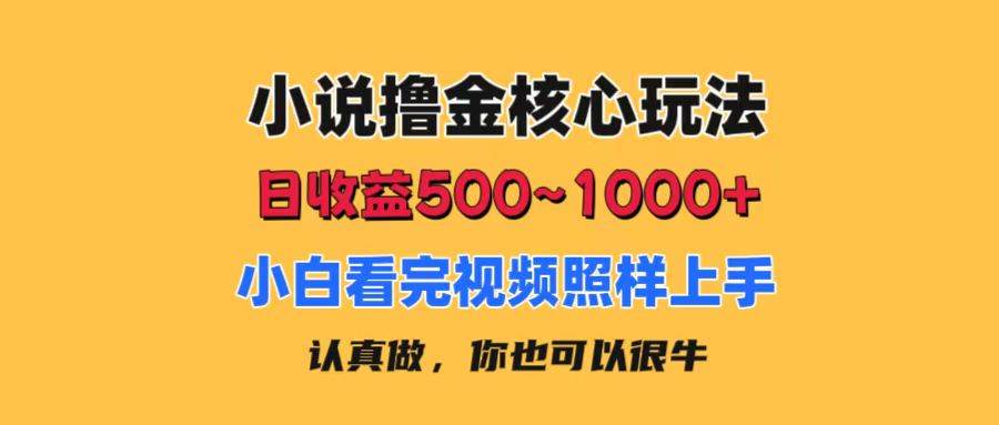 小说撸金核心玩法，日收益500-1000+，小白看完照样上手，0成本有手就行搞钱网创吧-网创项目资源站-副业项目-创业项目-搞钱项目搞钱网创吧