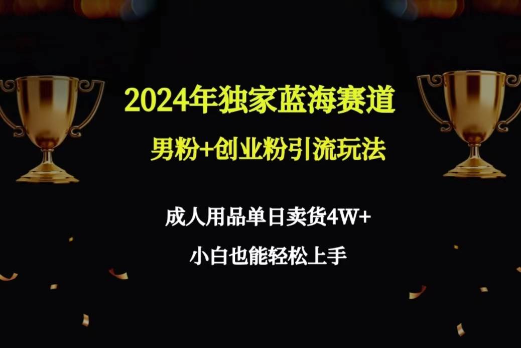 2024年独家蓝海赛道男粉+创业粉引流玩法，成人用品单日卖货4W+保姆教程搞钱网创吧-网创项目资源站-副业项目-创业项目-搞钱项目搞钱网创吧
