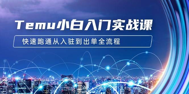 Temu小白入门实战课：跨境拼多多电商培训 快速跑通从入驻到出单全流程-12节网创吧-网创项目资源站-副业项目-创业项目-搞钱项目搞钱网创吧