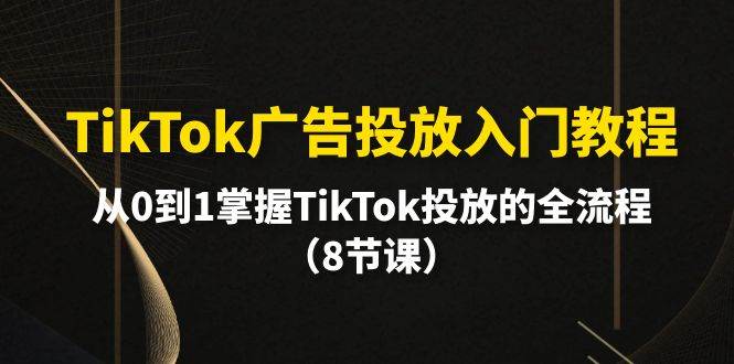 TikTok广告投放入门教程，从0到1掌握TikTok投放的全流程（8节课）网创吧-网创项目资源站-副业项目-创业项目-搞钱项目搞钱网创吧