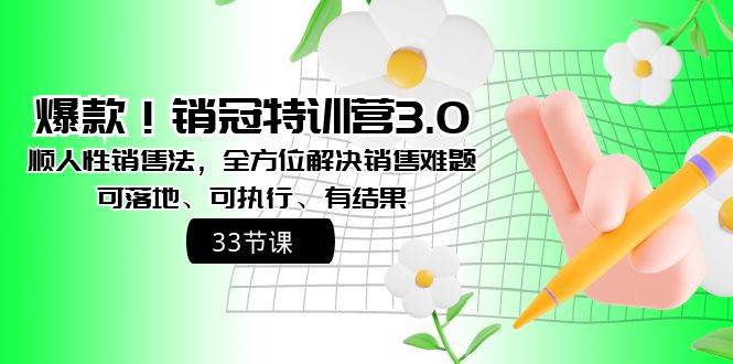 爆款！销冠特训营3.0之顺人性销售法，全方位解决销售难题、可落地、可执行、有结果网创吧-网创项目资源站-副业项目-创业项目-搞钱项目搞钱网创吧