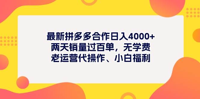 最新拼多多项目日入4000+两天销量过百单，无学费、老运营代操作、小白福利网创吧-网创项目资源站-副业项目-创业项目-搞钱项目搞钱网创吧