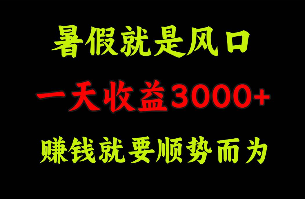 一天收益3000+ 赚钱就是顺势而为，暑假就是风口搞钱网创吧-网创项目资源站-副业项目-创业项目-搞钱项目搞钱网创吧