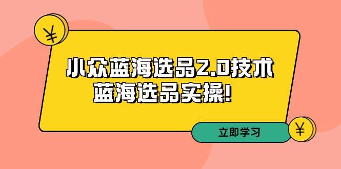 拼多多培训第33期：小众蓝海选品2.0技术-蓝海选品实操！网创吧-网创项目资源站-副业项目-创业项目-搞钱项目搞钱网创吧