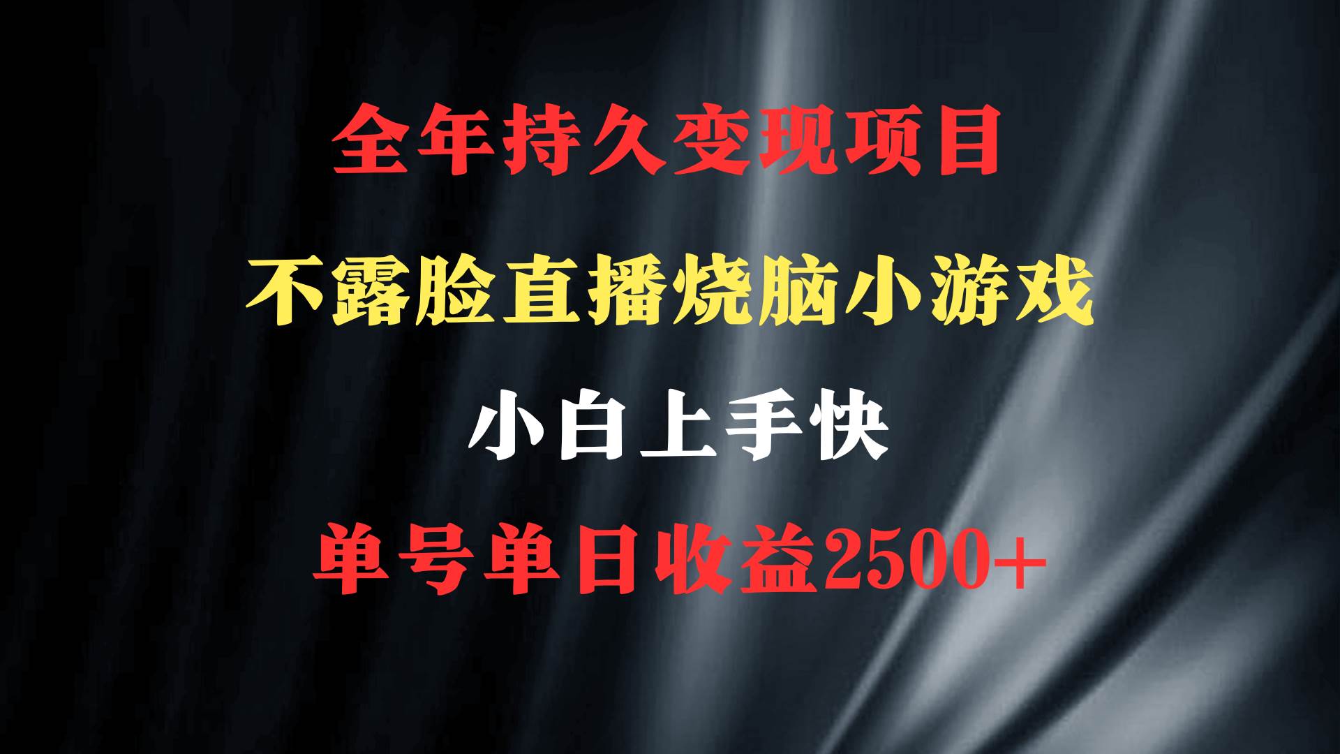 2024年 最优项目，烧脑小游戏不露脸直播  小白上手快 无门槛 一天收益2500+网创吧-网创项目资源站-副业项目-创业项目-搞钱项目搞钱网创吧