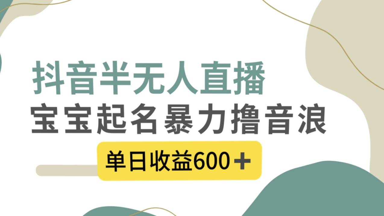抖音半无人直播，宝宝起名，暴力撸音浪，单日收益600+搞钱网创吧-网创项目资源站-副业项目-创业项目-搞钱项目搞钱网创吧