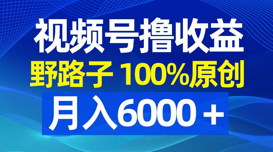 视频号野路子撸收益，100%原创，条条爆款，月入6000＋网创吧-网创项目资源站-副业项目-创业项目-搞钱项目搞钱网创吧