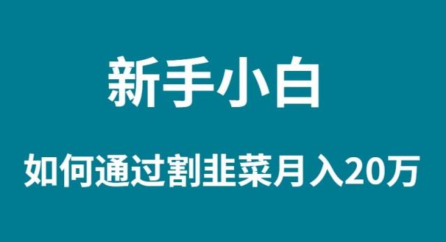 新手小白如何通过割韭菜月入 20W网创吧-网创项目资源站-副业项目-创业项目-搞钱项目搞钱网创吧