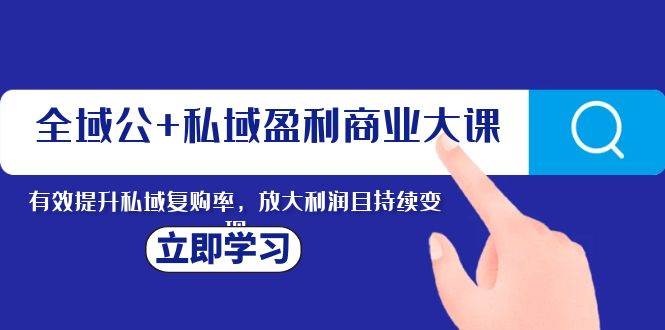 全域公+私域盈利商业大课，有效提升私域复购率，放大利润且持续变现网创吧-网创项目资源站-副业项目-创业项目-搞钱项目搞钱网创吧