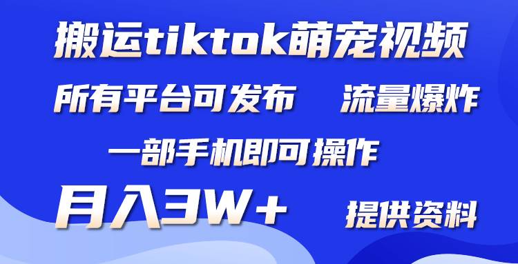 搬运Tiktok萌宠类视频，一部手机即可。所有短视频平台均可操作，月入3W+网创吧-网创项目资源站-副业项目-创业项目-搞钱项目搞钱网创吧