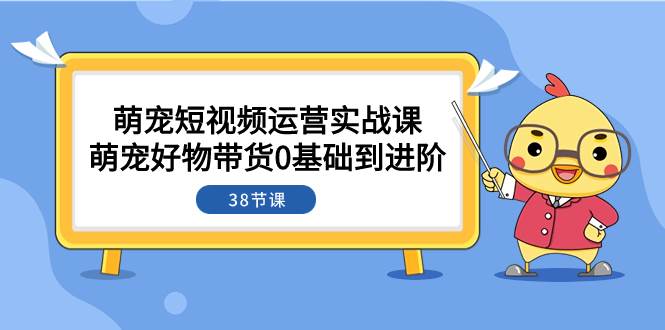 萌宠·短视频运营实战课：萌宠好物带货0基础到进阶（38节课）网创吧-网创项目资源站-副业项目-创业项目-搞钱项目搞钱网创吧