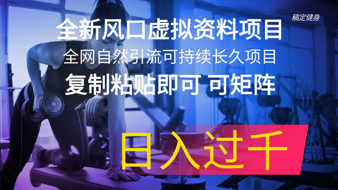 全新风口虚拟资料项目 全网自然引流可持续长久项目 复制粘贴即可可矩阵…网创吧-网创项目资源站-副业项目-创业项目-搞钱项目搞钱网创吧