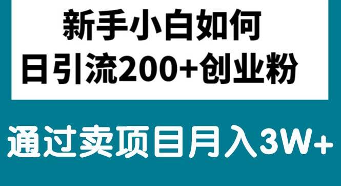 新手小白日引流200+创业粉,通过卖项目月入3W+网创吧-网创项目资源站-副业项目-创业项目-搞钱项目搞钱网创吧