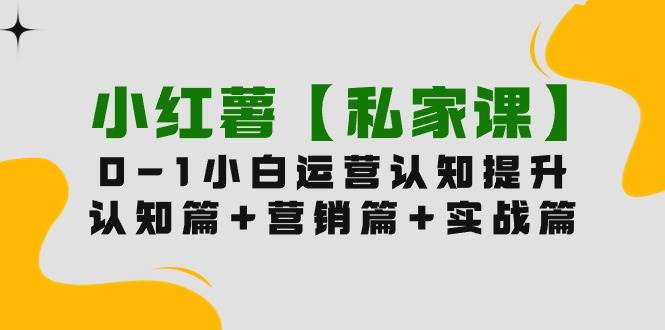 小红薯【私家课】0-1玩赚小红书内容营销，认知篇+营销篇+实战篇（11节课）搞钱网创吧-网创项目资源站-副业项目-创业项目-搞钱项目搞钱网创吧
