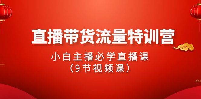 2024直播带货流量特训营，小白主播必学直播课（9节视频课）网创吧-网创项目资源站-副业项目-创业项目-搞钱项目搞钱网创吧