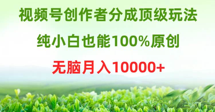 视频号创作者分成顶级玩法，纯小白也能100%原创，无脑月入10000+网创吧-网创项目资源站-副业项目-创业项目-搞钱项目搞钱网创吧
