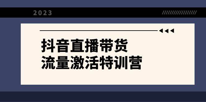 抖音直播带货-流量激活特训营，入行新手小白主播必学（21节课+资料）网创吧-网创项目资源站-副业项目-创业项目-搞钱项目搞钱网创吧