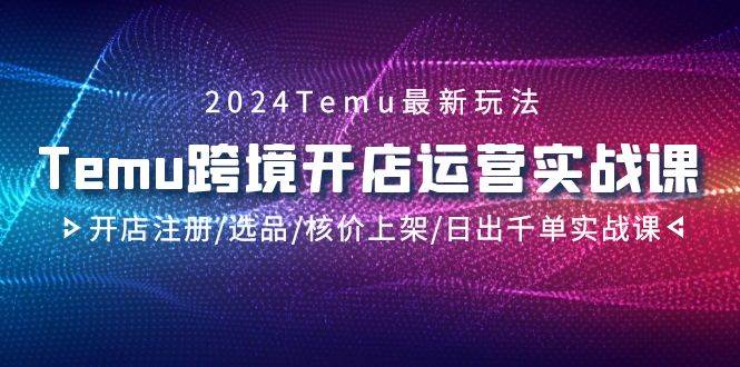 2024Temu跨境开店运营实战课，开店注册/选品/核价上架/日出千单实战课搞钱网创吧-网创项目资源站-副业项目-创业项目-搞钱项目搞钱网创吧