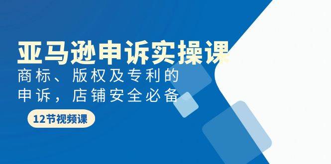 亚马逊-申诉实战课，商标、版权及专利的申诉，店铺安全必备网创吧-网创项目资源站-副业项目-创业项目-搞钱项目搞钱网创吧