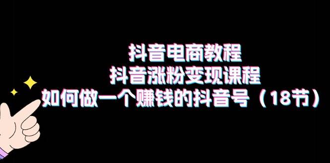 抖音电商教程：抖音涨粉变现课程：如何做一个赚钱的抖音号（18节）网创吧-网创项目资源站-副业项目-创业项目-搞钱项目搞钱网创吧