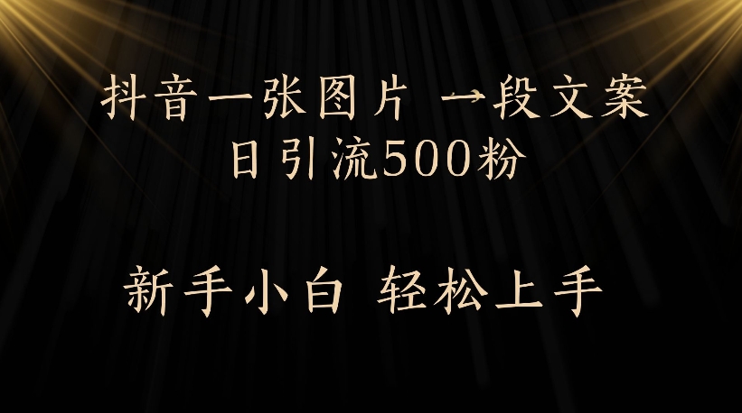 抖音一张图片，一段文案日引流500粉，新手小白 轻松上手搞钱网创吧-网创项目资源站-副业项目-创业项目-搞钱项目搞钱网创吧