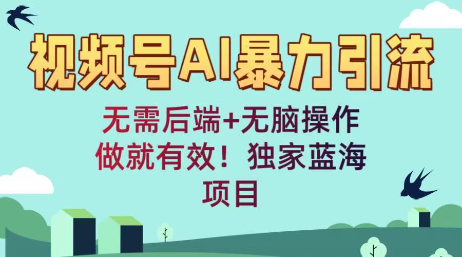 视频号AI暴力引流：无需后端+无脑操作，做就有效！独家蓝海项目搞钱网创吧-网创项目资源站-副业项目-创业项目-搞钱项目搞钱网创吧