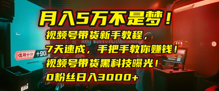 月入5万不是梦！视频号带货新手教程，7天速成，手把手教你赚钱！视频号带货黑科技曝光！0粉丝日入3000+搞钱网创吧-网创项目资源站-副业项目-创业项目-搞钱项目搞钱网创吧