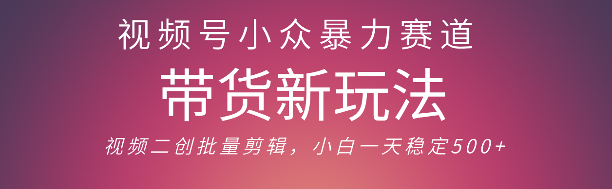 视频号小众暴力赛道，最新带货玩法 小白也能轻松日入500+ 保姆及教程搞钱网创吧-网创项目资源站-副业项目-创业项目-搞钱项目搞钱网创吧