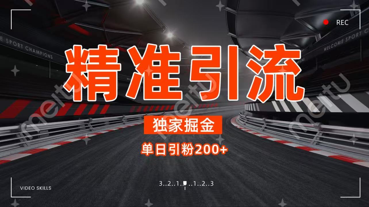 独家野路子精准引流 每日200+搞钱网创吧-网创项目资源站-副业项目-创业项目-搞钱项目搞钱网创吧