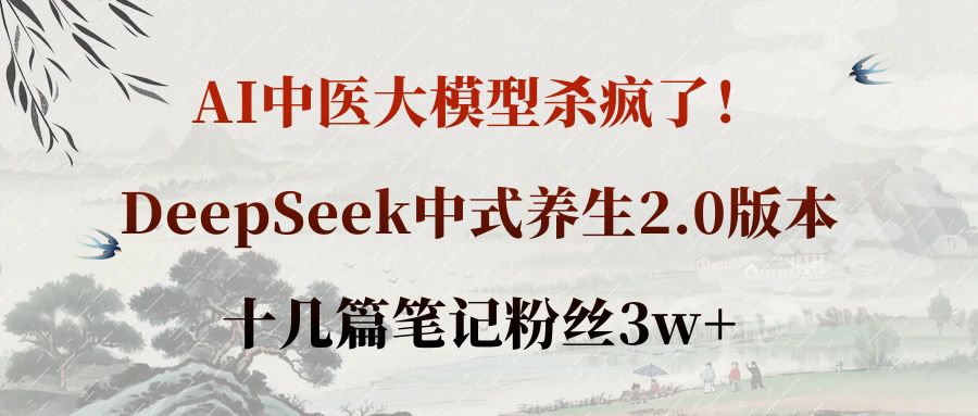 AI中医大模型杀疯了！DeepSeek中式养生2.0版本，十几篇笔记粉丝3w+搞钱网创吧-网创项目资源站-副业项目-创业项目-搞钱项目搞钱网创吧